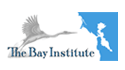 BayInst